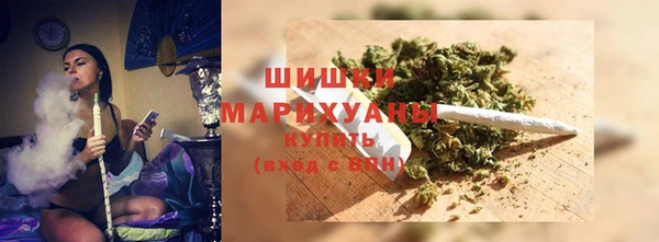 PSILOCYBIN Верея