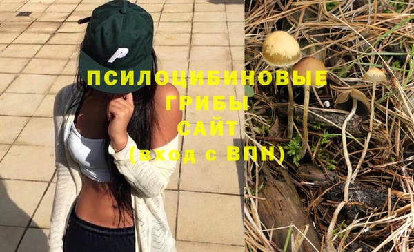гидропоника Бугульма