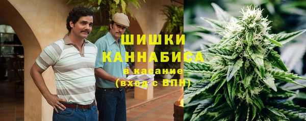 гидропоника Бугульма