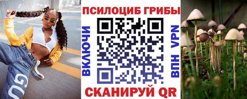 Псилоцибиновые грибы Cubensis  Геленджик 